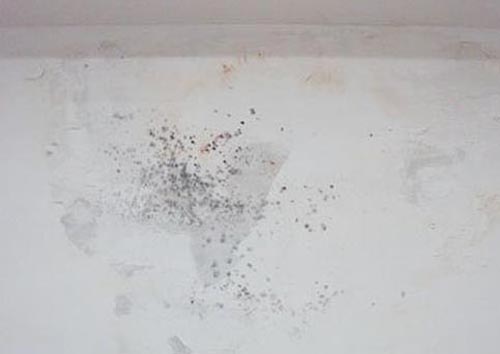 轻质隔平博在线