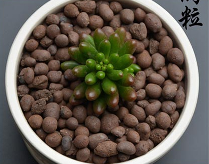 花卉陶粒